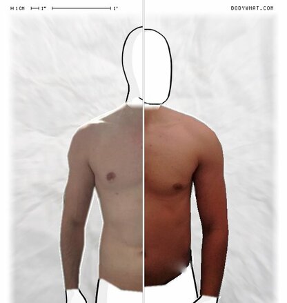 Torso Comparison