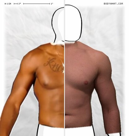 Torso Comparison