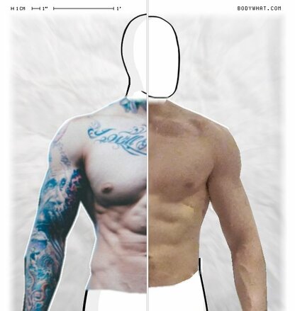 Torso Comparison