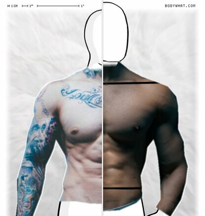 Torso Comparison