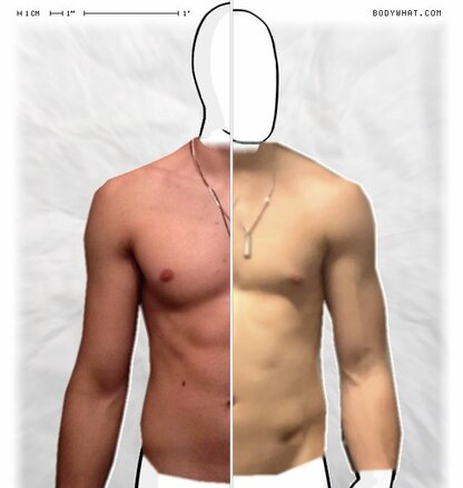 Torso Comparison