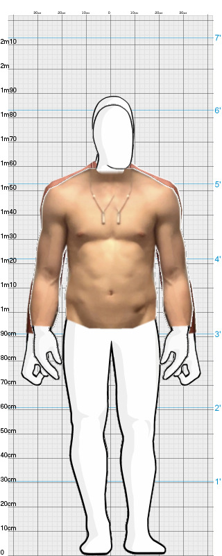 Full Size Comparison