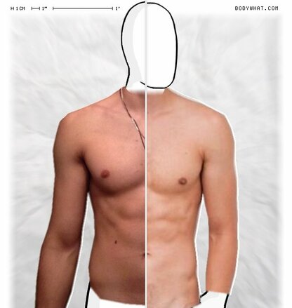Torso Comparison