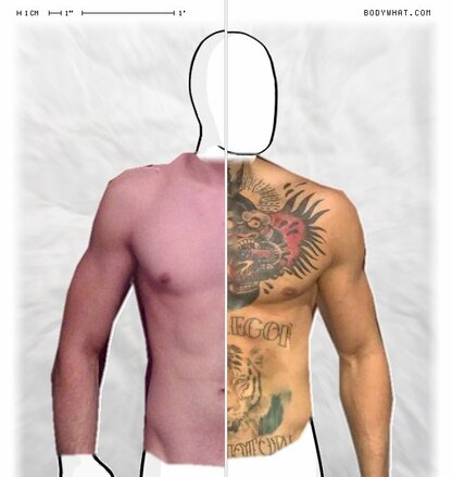 Torso Comparison