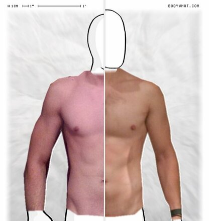 Torso Comparison