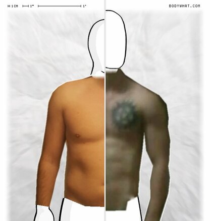 Torso Comparison