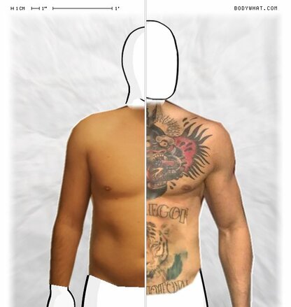 Torso Comparison