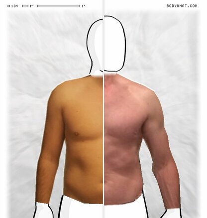 Torso Comparison