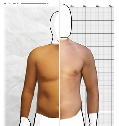 Torso Comparison