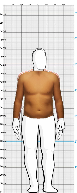 Full Size Comparison