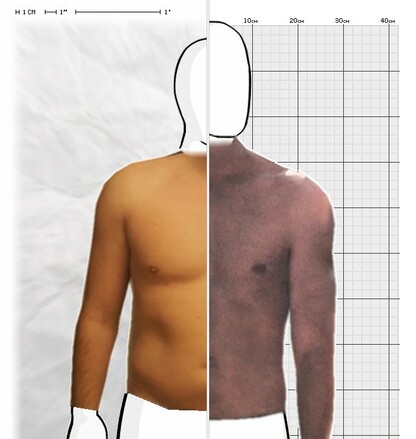 Torso Comparison