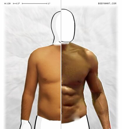 Torso Comparison