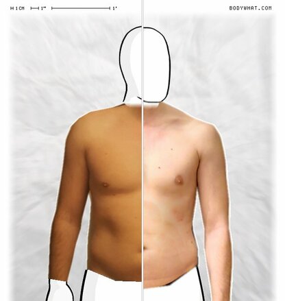 Torso Comparison
