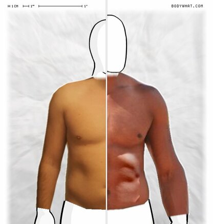Torso Comparison
