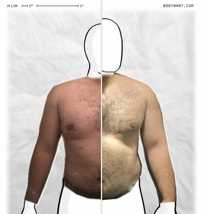 Torso Comparison