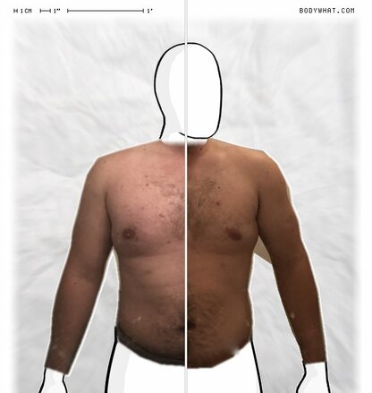 Torso Comparison