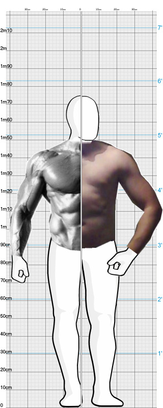 Full Size Comparison