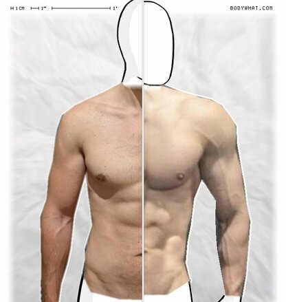 Torso Comparison