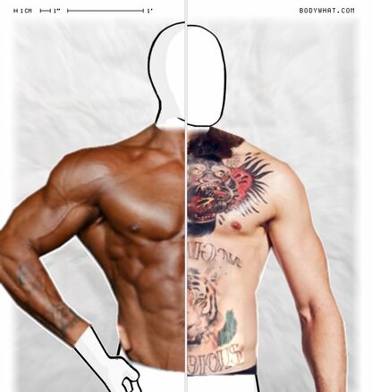 Torso Comparison