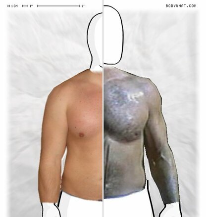 Torso Comparison