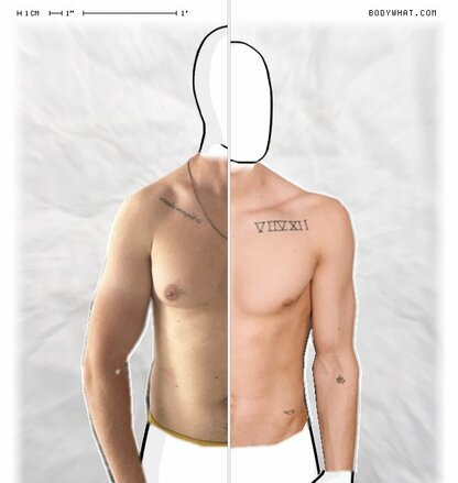 Torso Comparison