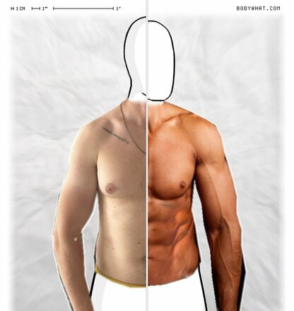 Torso Comparison
