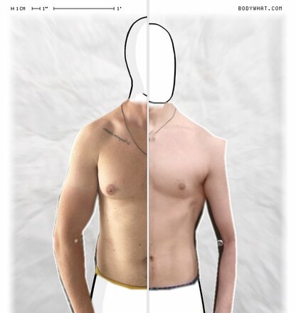 Torso Comparison