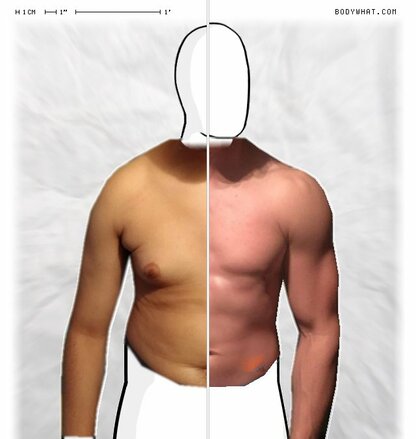 Torso Comparison