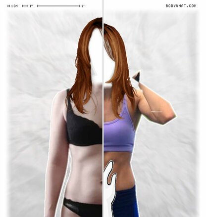 Torso Comparison