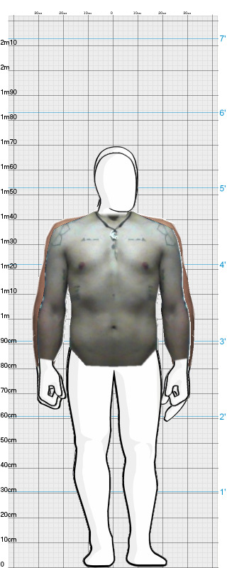 Full Size Comparison