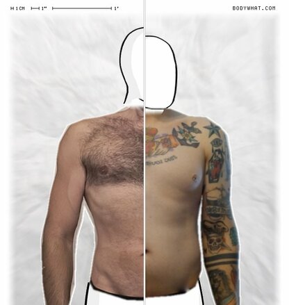 Torso Comparison