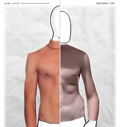 Torso Comparison