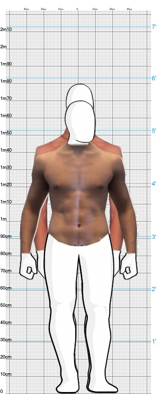 Full Size Comparison