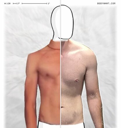 Torso Comparison