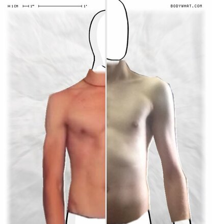 Torso Comparison