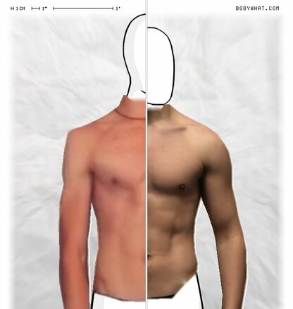 Torso Comparison