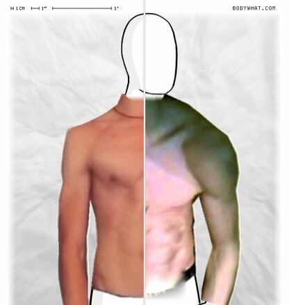 Torso Comparison