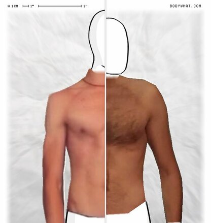 Torso Comparison