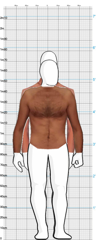 Full Size Comparison