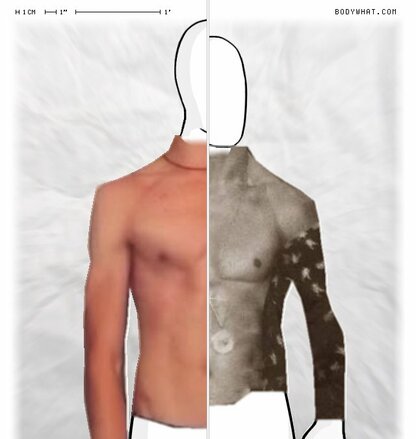 Torso Comparison