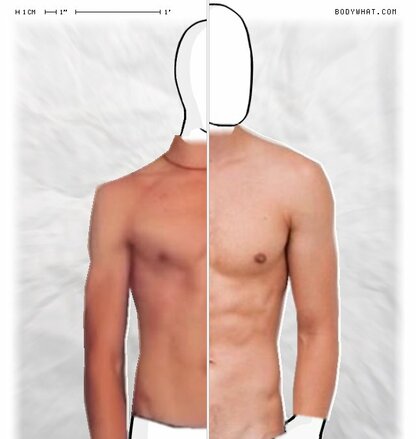 Torso Comparison