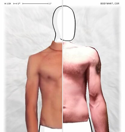 Torso Comparison