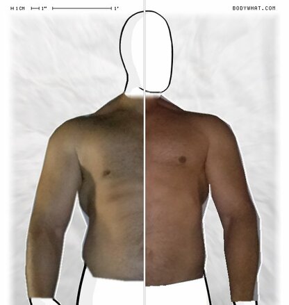 Torso Comparison