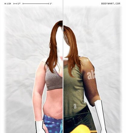 Torso Comparison
