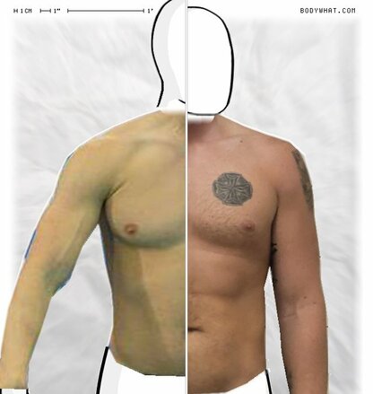 Torso Comparison