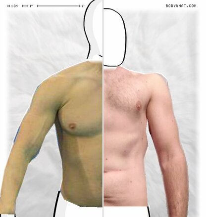 Torso Comparison