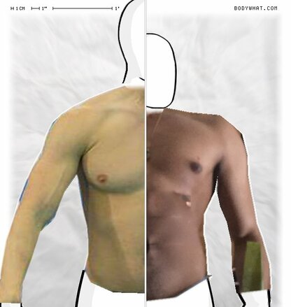 Torso Comparison