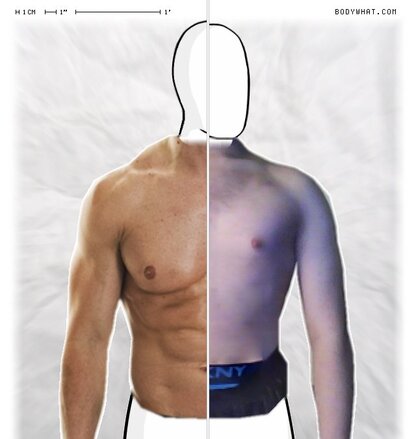 Torso Comparison