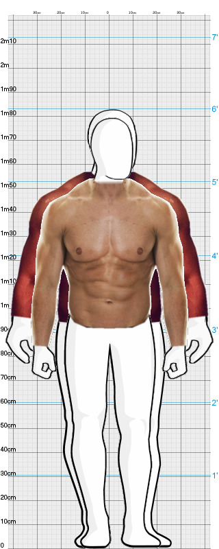 Full Size Comparison