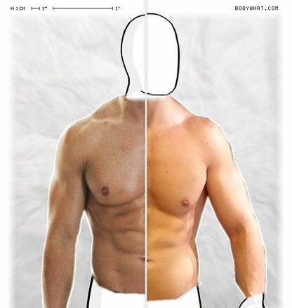 Torso Comparison